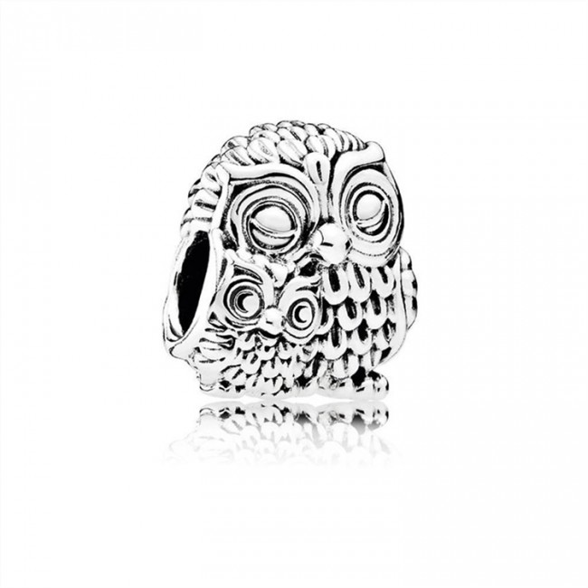 Pandora Jewelry Charming Owls Charm 791966